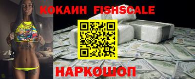jwh Бийск