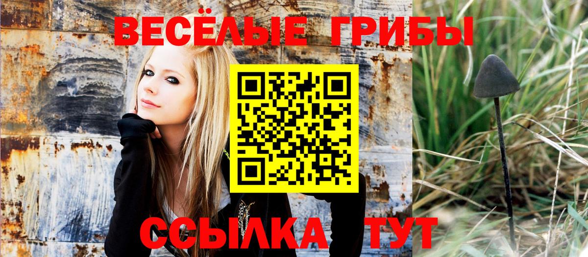 Псилоцибиновые грибы ЛСД Каменка