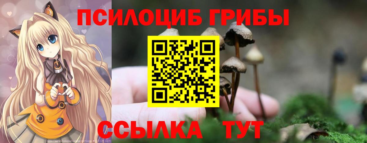 цена   Вход с VPN  Галлюциногенные грибы Psilocybine cubensis  Каменка  Галлюциногенные грибы GOLDEN TEACHER 